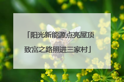 阳光新能源点亮屋顶 致富之路照进三家村