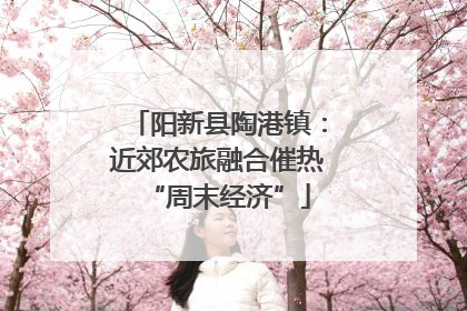 阳新县陶港镇：近郊农旅融合催热“周末经济”