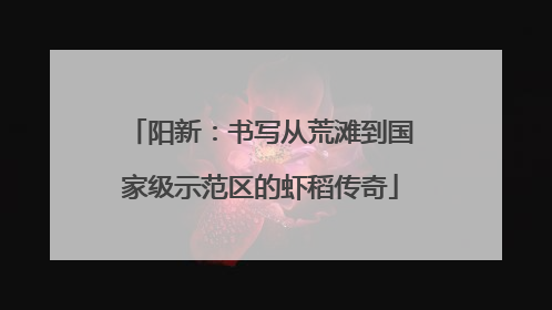阳新：书写从荒滩到国家级示范区的虾稻传奇