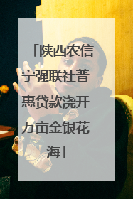 陕西农信宁强联社普惠贷款浇开万亩金银花海