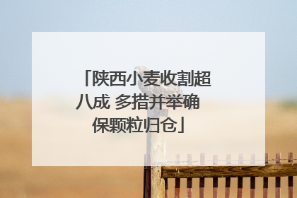 陕西小麦收割超八成 多措并举确保颗粒归仓