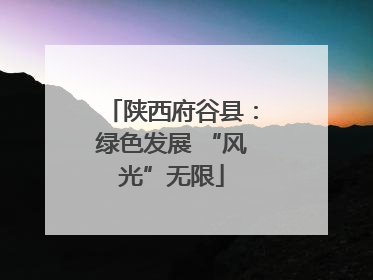 陕西府谷县：绿色发展 “风光”无限