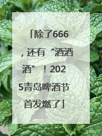 除了666，还有“酒酒酒”！2025青岛啤酒节首发燃了