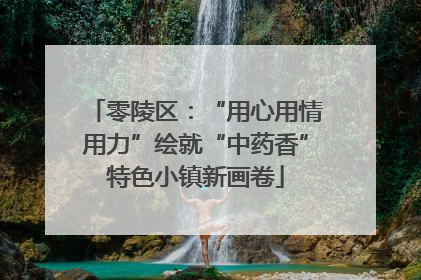 零陵区：“用心用情用力”绘就“中药香”特色小镇新画卷