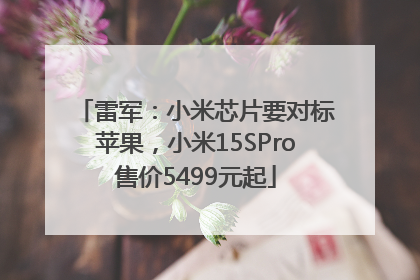雷军：小米芯片要对标苹果，小米15SPro售价5499元起