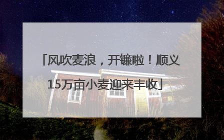 风吹麦浪，开镰啦！顺义15万亩小麦迎来丰收
