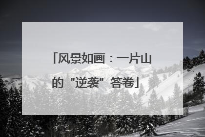 风景如画：一片山的“逆袭”答卷