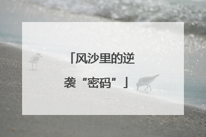 风沙里的逆袭“密码”
