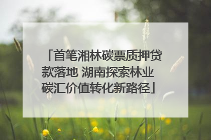 首笔湘林碳票质押贷款落地 湖南探索林业碳汇价值转化新路径