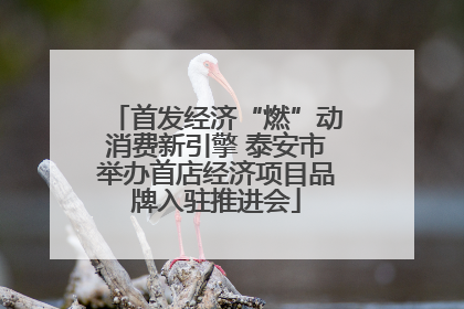 首发经济“燃”动消费新引擎 泰安市举办首店经济项目品牌入驻推进会