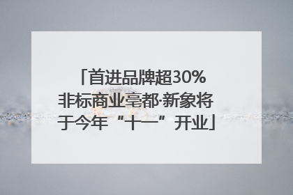 首进品牌超30% 非标商业亳都·新象将于今年“十一”开业