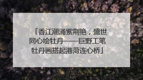 香江潮涌紫荆艳，盛世同心绘牡丹——巨野工笔牡丹画搭起港菏连心桥