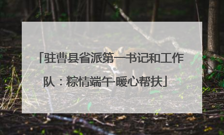 驻曹县省派第一书记和工作队：粽情端午·暖心帮扶