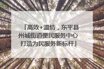 高效+温情，东平县州城街道便民服务中心打造为民服务新标杆