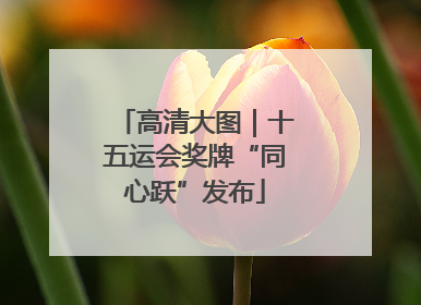 高清大图｜十五运会奖牌“同心跃”发布