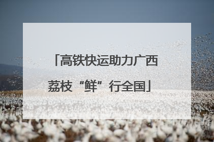 高铁快运助力广西荔枝“鲜”行全国