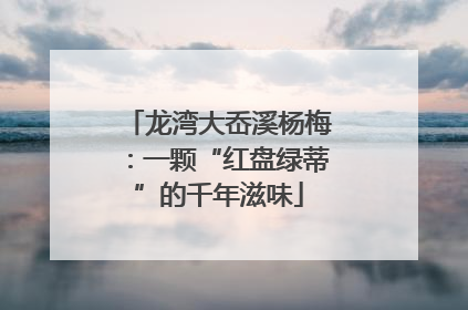 龙湾大岙溪杨梅：一颗“红盘绿蒂”的千年滋味