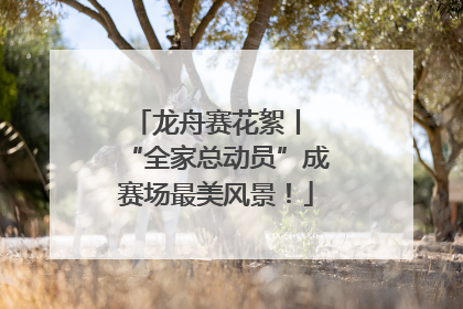 龙舟赛花絮丨 “全家总动员”成赛场最美风景！
