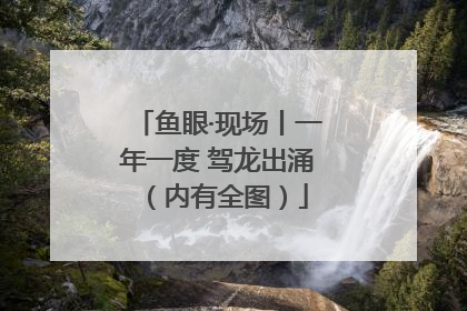 鱼眼·现场丨一年一度 驾龙出涌（内有全图）