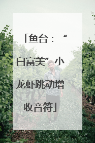 鱼台：“白富美”小龙虾跳动增收音符