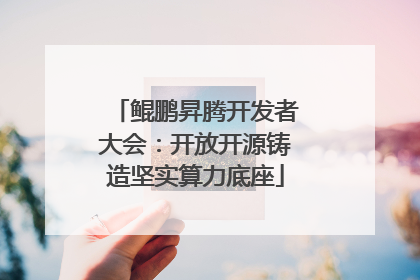 鲲鹏昇腾开发者大会：开放开源铸造坚实算力底座