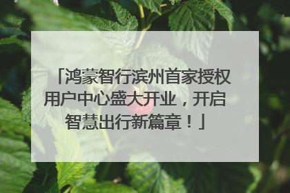 鸿蒙智行滨州首家授权用户中心盛大开业，开启智慧出行新篇章！