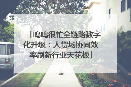 鸣鸣很忙全链路数字化升级：人货场协同效率刷新行业天花板