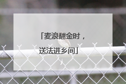 麦浪翻金时，送法进乡间