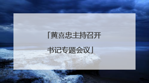 黄喜忠主持召开书记专题会议