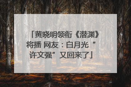 黄晓明领衔《潜渊》将播 网友：白月光“许文强”又回来了