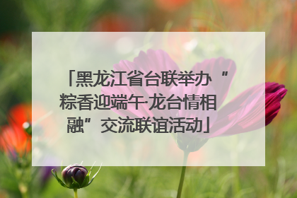 黑龙江省台联举办“粽香迎端午·龙台情相融”交流联谊活动