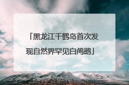 黑龙江千鹤岛首次发现自然界罕见白鸬鹚