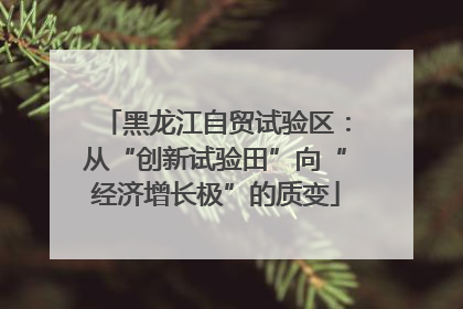 黑龙江自贸试验区：从“创新试验田”向“经济增长极”的质变