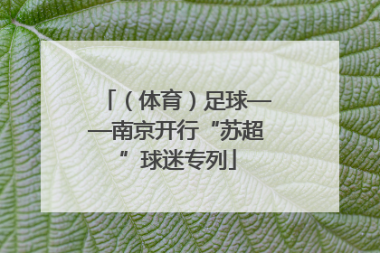 （体育）足球——南京开行“苏超”球迷专列