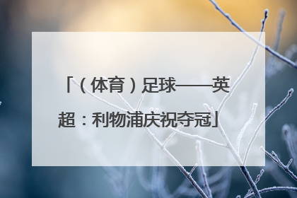 （体育）足球——英超：利物浦庆祝夺冠