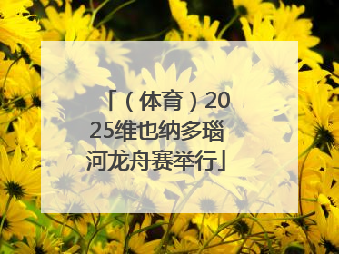 （体育）2025维也纳多瑙河龙舟赛举行