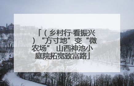 （乡村行·看振兴）“方寸地”变“微农场” 山西神池小庭院拓宽致富路