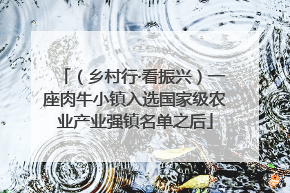 （乡村行·看振兴）一座肉牛小镇入选国家级农业产业强镇名单之后