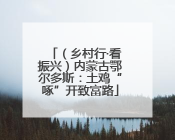 （乡村行·看振兴）内蒙古鄂尔多斯：土鸡“啄”开致富路