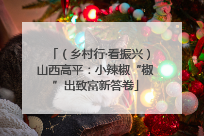 （乡村行·看振兴）山西高平：小辣椒“椒”出致富新答卷