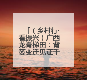 （乡村行·看振兴）广西龙脊梯田：背篓变迁见证千年农耕传统魅力