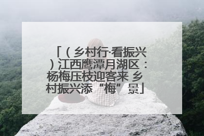 （乡村行·看振兴）江西鹰潭月湖区：杨梅压枝迎客来 乡村振兴添“梅”景