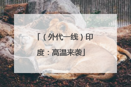 （外代一线）印度：高温来袭