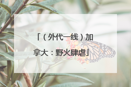 （外代一线）加拿大：野火肆虐