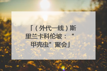 （外代一线）斯里兰卡科伦坡：“甲壳虫”聚会