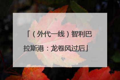 （外代一线）智利巴拉斯港：龙卷风过后
