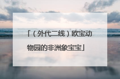 （外代二线）欧宝动物园的非洲象宝宝