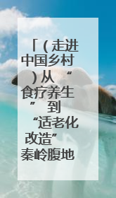 （走进中国乡村）从 “食疗养生” 到 “适老化改造” 秦岭腹地成康养“福地”