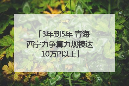 3年到5年 青海西宁力争算力规模达10万P以上