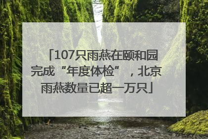 107只雨燕在颐和园完成“年度体检”，北京雨燕数量已超一万只